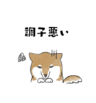 柴犬スタンプ 無気力（個別スタンプ：17）