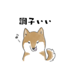 柴犬スタンプ 無気力（個別スタンプ：18）