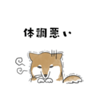 柴犬スタンプ 無気力（個別スタンプ：19）