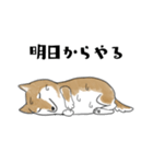 柴犬スタンプ 無気力（個別スタンプ：21）
