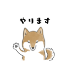 柴犬スタンプ 無気力（個別スタンプ：24）
