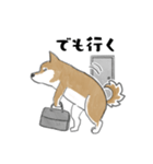 柴犬スタンプ 無気力（個別スタンプ：26）