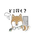 柴犬スタンプ 無気力（個別スタンプ：31）