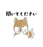 柴犬スタンプ 無気力（個別スタンプ：33）