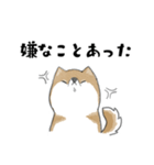 柴犬スタンプ 無気力（個別スタンプ：34）