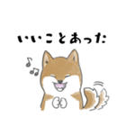 柴犬スタンプ 無気力（個別スタンプ：35）
