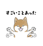柴犬スタンプ 無気力（個別スタンプ：36）