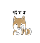 柴犬スタンプ 無気力（個別スタンプ：37）