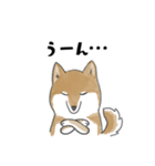 柴犬スタンプ 無気力（個別スタンプ：38）