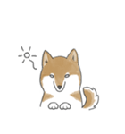 柴犬スタンプ 無気力（個別スタンプ：39）
