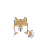 柴犬スタンプ 無気力（個別スタンプ：40）