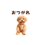 踊るトイプードルのアニメーション♪（個別スタンプ：3）