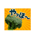 【動く】こんな、ブロッコリーどうでしょう（個別スタンプ：1）
