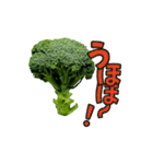 【動く】こんな、ブロッコリーどうでしょう（個別スタンプ：2）