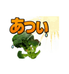 【動く】こんな、ブロッコリーどうでしょう（個別スタンプ：12）