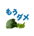 【動く】こんな、ブロッコリーどうでしょう（個別スタンプ：13）