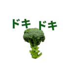 【動く】こんな、ブロッコリーどうでしょう（個別スタンプ：16）