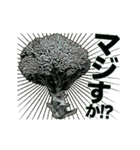 【動く】こんな、ブロッコリーどうでしょう（個別スタンプ：18）