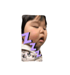 【使える挨拶！！】まいにゅん家〜その①〜（個別スタンプ：23）