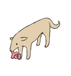 肌色のシンプル犬（個別スタンプ：10）