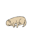 肌色のシンプル犬（個別スタンプ：13）