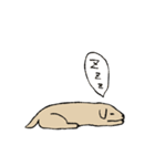 肌色のシンプル犬（個別スタンプ：19）