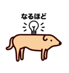 モンゴル犬（個別スタンプ：19）