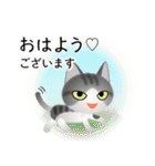 色々な猫8-1 短毛-立ち耳-サバトラ白（個別スタンプ：1）