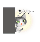 色々な猫8-1 短毛-立ち耳-サバトラ白（個別スタンプ：6）