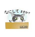 色々な猫8-1 短毛-立ち耳-サバトラ白（個別スタンプ：8）