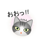 色々な猫8-1 短毛-立ち耳-サバトラ白（個別スタンプ：10）