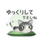 色々な猫8-1 短毛-立ち耳-サバトラ白（個別スタンプ：12）