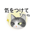 色々な猫8-1 短毛-立ち耳-サバトラ白（個別スタンプ：14）