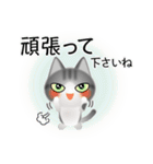 色々な猫8-1 短毛-立ち耳-サバトラ白（個別スタンプ：16）