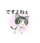 色々な猫8-1 短毛-立ち耳-サバトラ白（個別スタンプ：23）