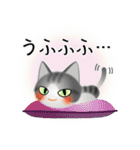 色々な猫8-1 短毛-立ち耳-サバトラ白（個別スタンプ：25）