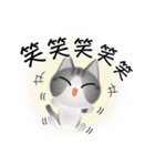 色々な猫8-1 短毛-立ち耳-サバトラ白（個別スタンプ：26）