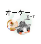 色々な猫8-1 短毛-立ち耳-サバトラ白（個別スタンプ：28）