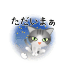 色々な猫8-1 短毛-立ち耳-サバトラ白（個別スタンプ：38）