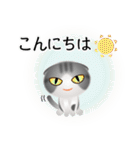 色々な猫8-2 短毛-垂れ耳-サバトラ白（個別スタンプ：5）