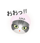 色々な猫8-2 短毛-垂れ耳-サバトラ白（個別スタンプ：10）