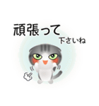 色々な猫8-2 短毛-垂れ耳-サバトラ白（個別スタンプ：16）