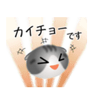 色々な猫8-2 短毛-垂れ耳-サバトラ白（個別スタンプ：17）