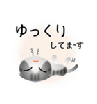 色々な猫8-2 短毛-垂れ耳-サバトラ白（個別スタンプ：18）