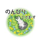 色々な猫8-2 短毛-垂れ耳-サバトラ白（個別スタンプ：19）