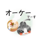 色々な猫8-2 短毛-垂れ耳-サバトラ白（個別スタンプ：28）