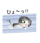 色々な猫8-2 短毛-垂れ耳-サバトラ白（個別スタンプ：34）