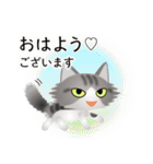 色々な猫8-3 長毛-立ち耳-サバトラ白（個別スタンプ：1）