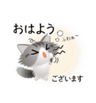 色々な猫8-3 長毛-立ち耳-サバトラ白（個別スタンプ：2）