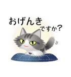 色々な猫8-3 長毛-立ち耳-サバトラ白（個別スタンプ：4）